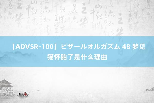 【ADVSR-100】ビザールオルガズム 48 梦见猫怀胎了是什么理由