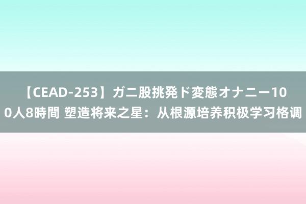 【CEAD-253】ガニ股挑発ド変態オナニー100人8時間 塑造将来之星：从根源培养积极学习格调