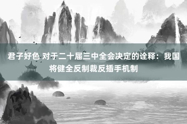 君子好色 对于二十届三中全会决定的诠释：我国将健全反制裁反插手机制