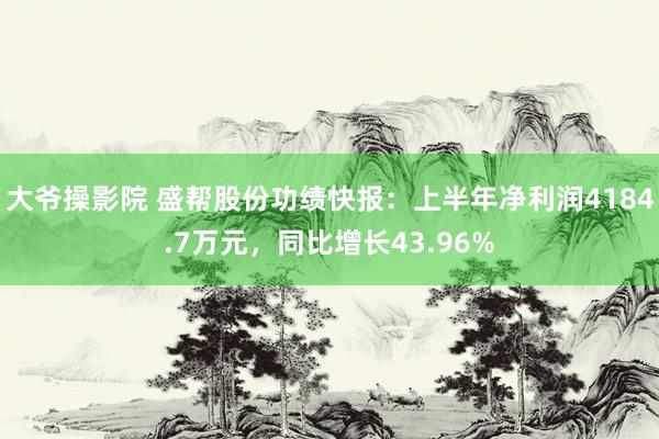 大爷操影院 盛帮股份功绩快报：上半年净利润4184.7万元，同比增长43.96%