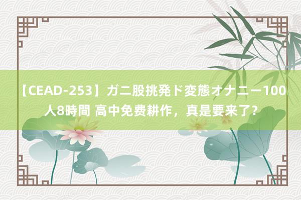 【CEAD-253】ガニ股挑発ド変態オナニー100人8時間 高中免费耕作，真是要来了？