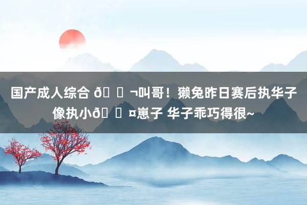 国产成人综合 ?叫哥！獭兔昨日赛后执华子像执小?崽子 华子乖巧得很~