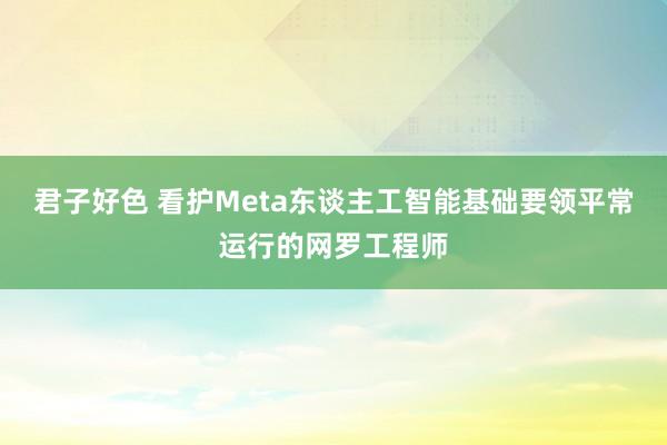 君子好色 看护Meta东谈主工智能基础要领平常运行的网罗工程师