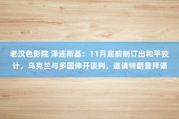 老汉色影院 泽连斯基：11月底前制订出和平狡计，乌克兰与多国伸开谈判，邀请特朗普拜谒