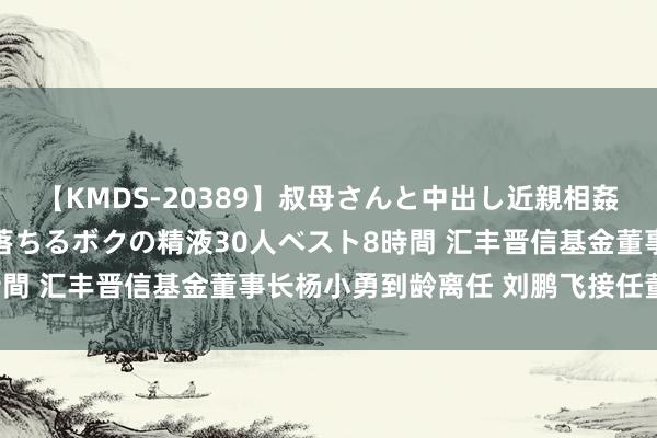 【KMDS-20389】叔母さんと中出し近親相姦 叔母さんの身体を伝い落ちるボクの精液30人ベスト8時間 汇丰晋信基金董事长杨小勇到龄离任 刘鹏飞接任董事长