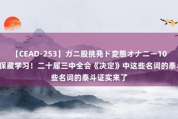 【CEAD-253】ガニ股挑発ド変態オナニー100人8時間 保藏学习！二十届三中全会《决定》中这些名词的泰斗证实来了