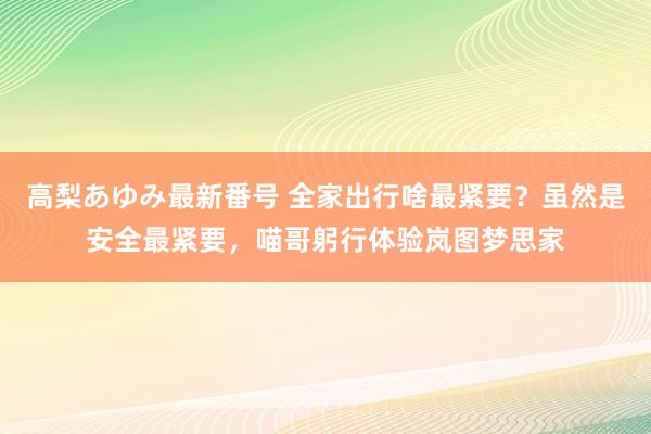 高梨あゆみ最新番号 全家出行啥最紧要？虽然是安全最紧要，喵哥躬行体验岚图梦思家