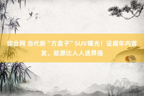 综合网 当代新“方盒子”SUV曝光！证据年内首发，能源比人人途昂强