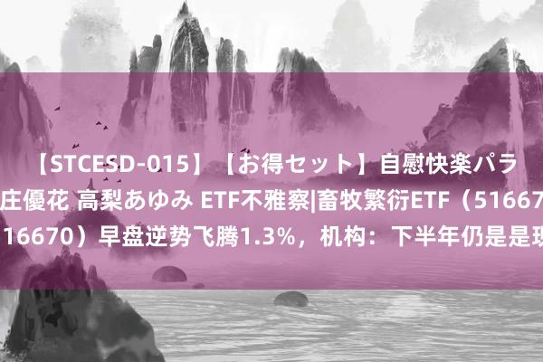 【STCESD-015】【お得セット】自慰快楽パラノイド 大場ゆい 本庄優花 高梨あゆみ ETF不雅察|畜牧繁衍ETF（516670）早盘逆势飞腾1.3%，机构：下半年仍是是现实纠偏预期的历程