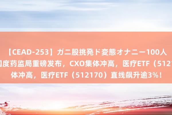 【CEAD-253】ガニ股挑発ド変態オナニー100人8時間 ETF盘中资讯|国度药监局重磅发布，CXO集体冲高，医疗ETF（512170）直线飙升逾3%！