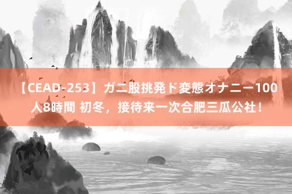 【CEAD-253】ガニ股挑発ド変態オナニー100人8時間 初冬，接待来一次合肥三瓜公社！