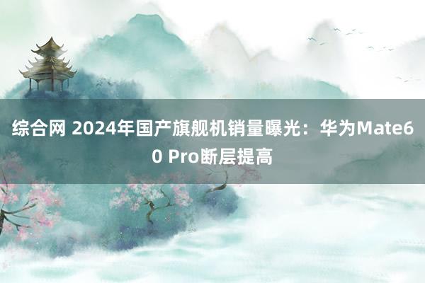 综合网 2024年国产旗舰机销量曝光：华为Mate60 Pro断层提高