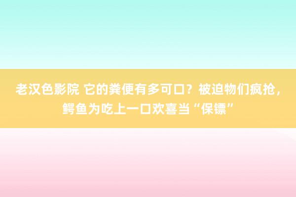 老汉色影院 它的粪便有多可口？被迫物们疯抢，鳄鱼为吃上一口欢喜当“保镖”