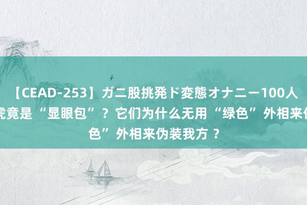 【CEAD-253】ガニ股挑発ド変態オナニー100人8時間 老虎竟是 “显眼包” ？它们为什么无用 “绿色” 外相来伪装我方 ？