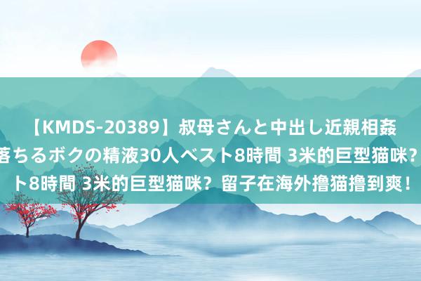 【KMDS-20389】叔母さんと中出し近親相姦 叔母さんの身体を伝い落ちるボクの精液30人ベスト8時間 3米的巨型猫咪？留子在海外撸猫撸到爽！