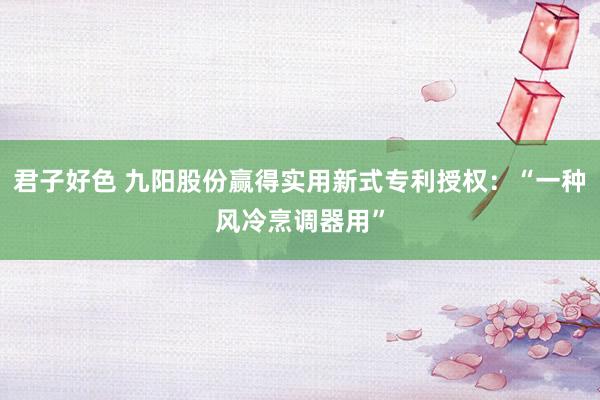 君子好色 九阳股份赢得实用新式专利授权：“一种风冷烹调器用”