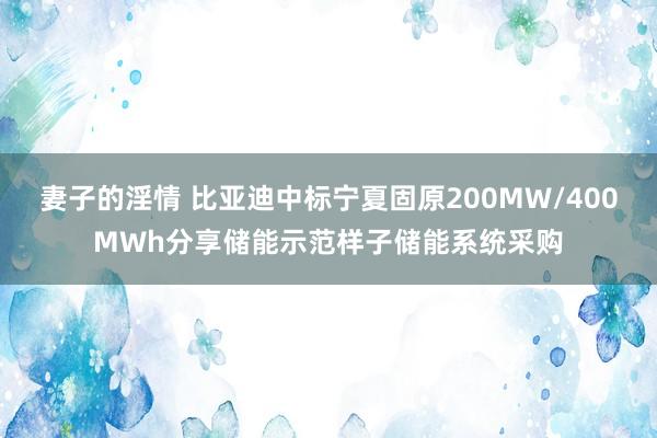 妻子的淫情 比亚迪中标宁夏固原200MW/400MWh分享储能示范样子储能系统采购