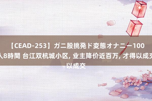 【CEAD-253】ガニ股挑発ド変態オナニー100人8時間 台江双杭城小区, 业主降价近百万, 才得以成交