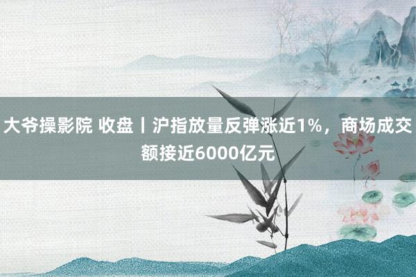 大爷操影院 收盘丨沪指放量反弹涨近1%，商场成交额接近6000亿元