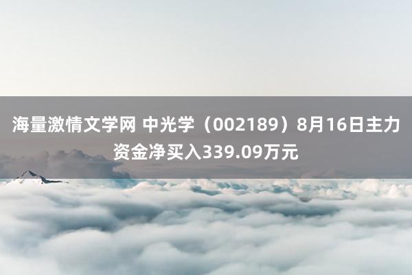 海量激情文学网 中光学（002189）8月16日主力资金净买入339.09万元