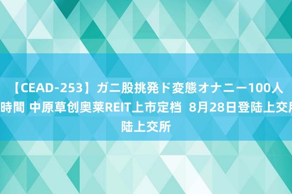 【CEAD-253】ガニ股挑発ド変態オナニー100人8時間 中原草创奥莱REIT上市定档  8月28日登陆上交所