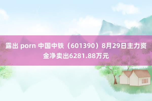 露出 porn 中国中铁（601390）8月29日主力资金净卖出6281.88万元