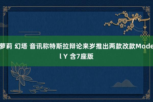 萝莉 幻塔 音讯称特斯拉辩论来岁推出两款改款Model Y 含7座版