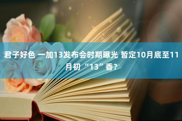 君子好色 一加13发布会时期曝光 暂定10月底至11月初 “13”香？