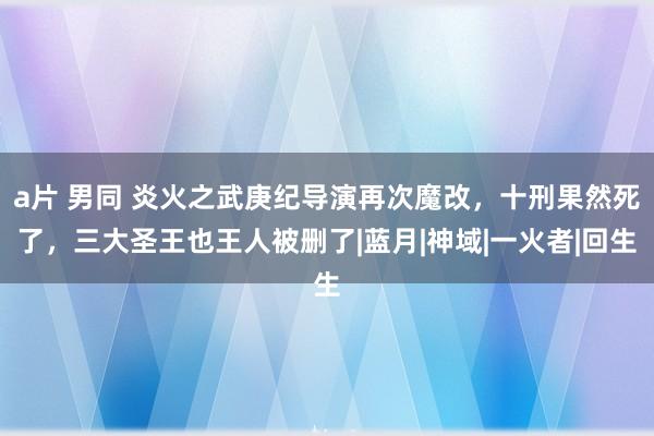 a片 男同 炎火之武庚纪导演再次魔改，十刑果然死了，三大圣王也王人被删了|蓝月|神域|一火者|回生