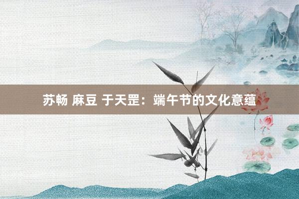 苏畅 麻豆 于天罡：端午节的文化意蕴