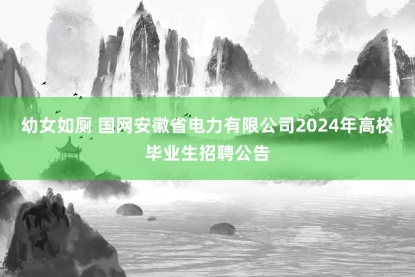 幼女如厕 国网安徽省电力有限公司2024年高校毕业生招聘公告